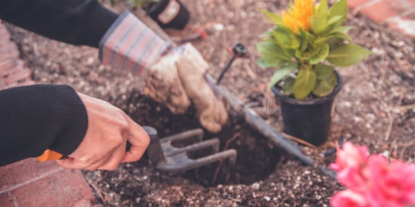 The benefits of gardening when coping with grief