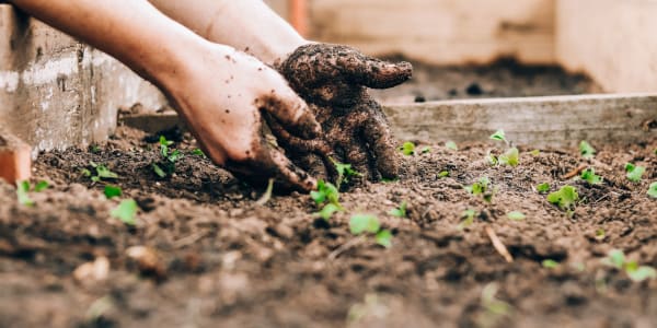 Have a look at the benefits of 'grief' gardening